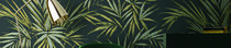 tropical-blend-kenzia-33607