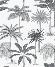 junglejive-royal-36500-p