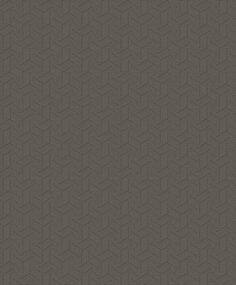 sketch-limit-19554-p
