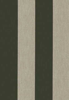 flamantlesrayuresstripes-stripevelvetandlin-18106-p