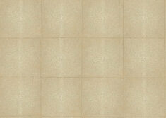 icons-shagreen-85520-packshot