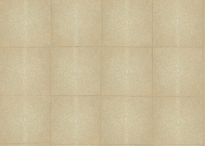 icons-shagreen-85520-packshot