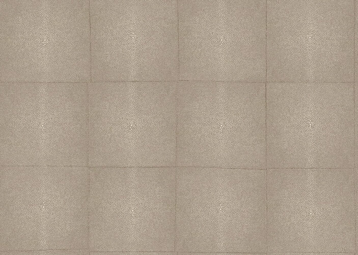 icons-shagreen-85524-packshot