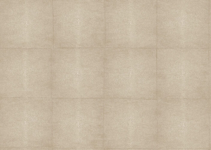 icons-shagreen-85525-packshot