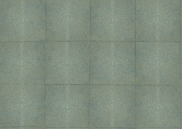 icons-shagreen-85526-packshot