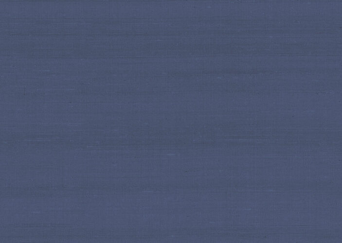 paleo-latus-50500-p