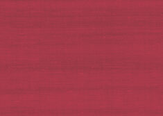 paleo-latus-50502-p
