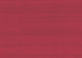 paleo-latus-50502-p