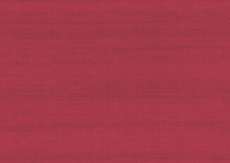 paleo-latus-50502-p