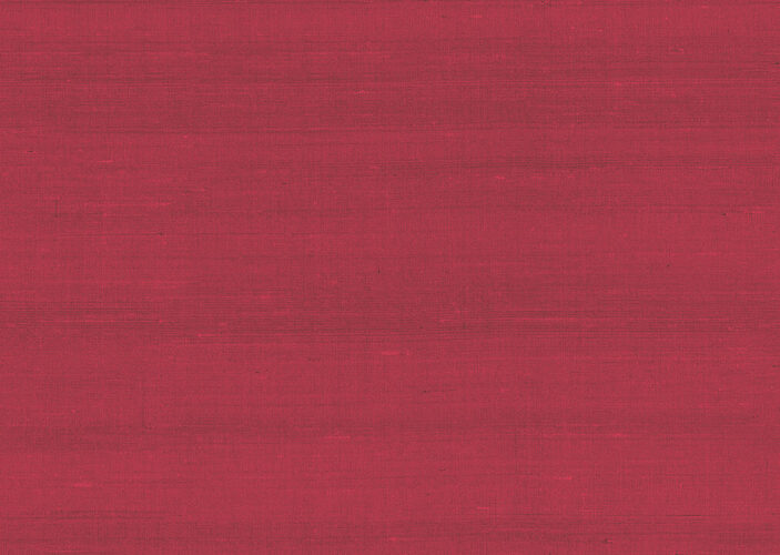paleo-latus-50502-p