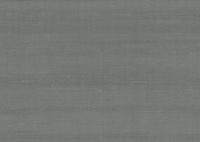 paleo-latus-50504-p