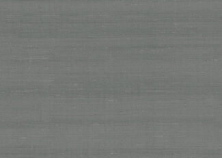 paleo-latus-50504-p