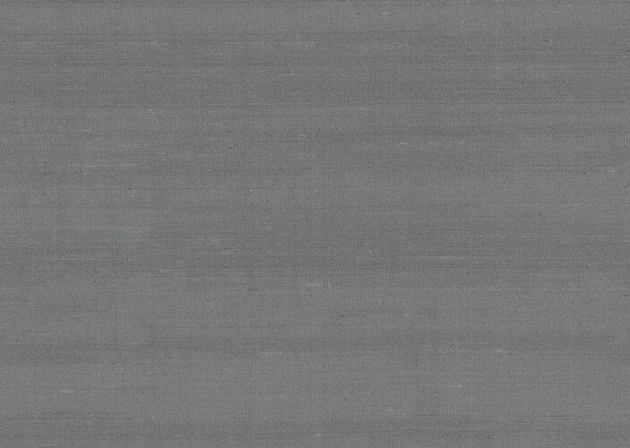 paleo-latus-50504-p