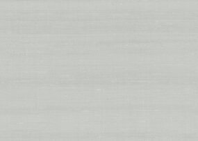 paleo-latus-50505-p