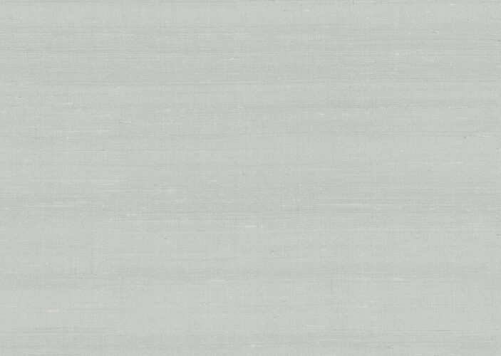 paleo-latus-50505-p