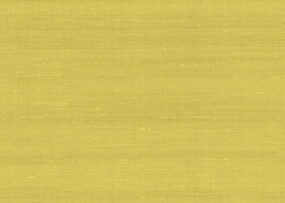 paleo-latus-50507-p