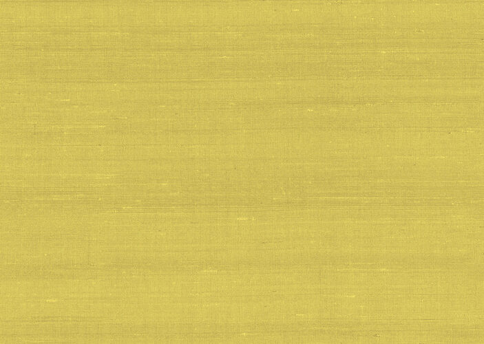 paleo-latus-50507-p