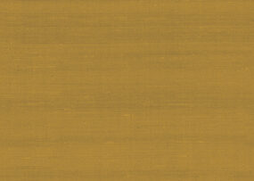 paleo-latus-50509-p