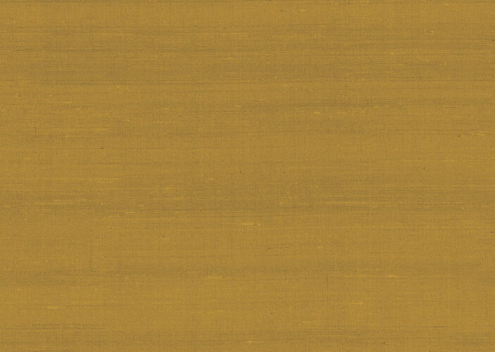 paleo-latus-50509-p