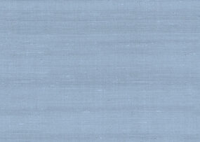 paleo-latus-50511-p