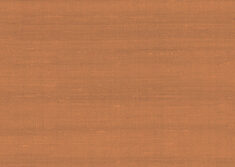 paleo-latus-50514-p