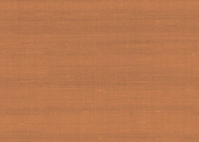 paleo-latus-50514-p