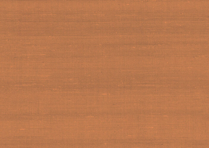 paleo-latus-50514-p
