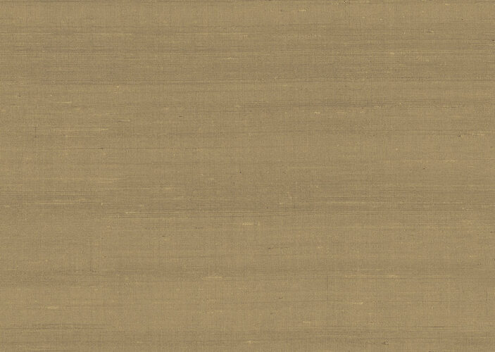 paleo-latus-50515-p