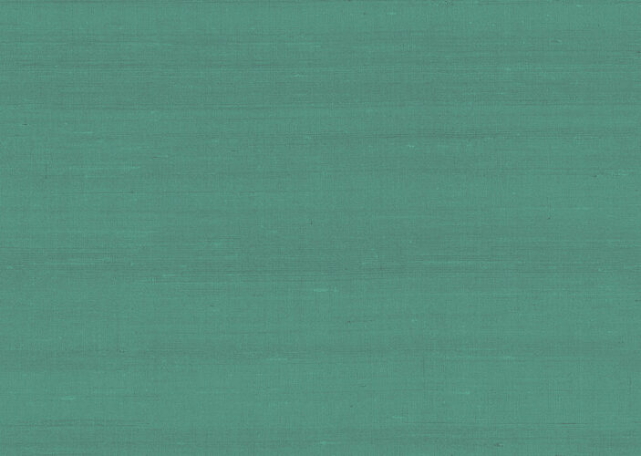 paleo-latus-50516-p