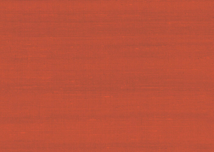 paleo-latus-50517-p