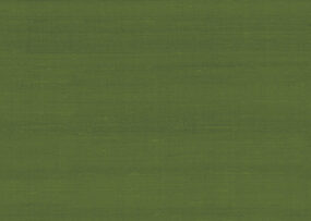 paleo-latus-50519-p