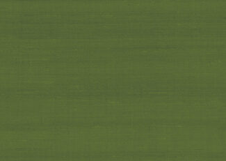 paleo-latus-50519-p