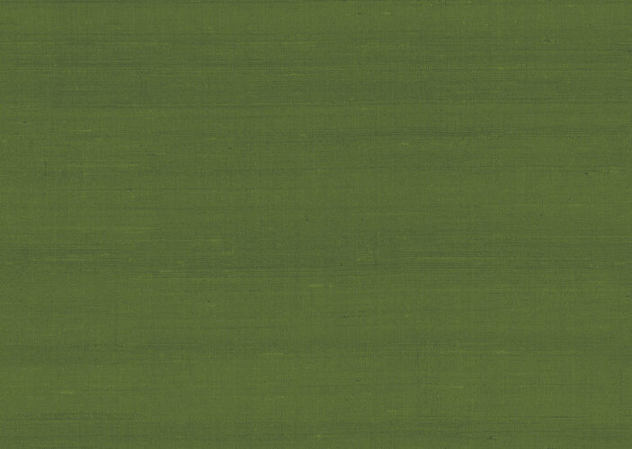 paleo-latus-50519-p
