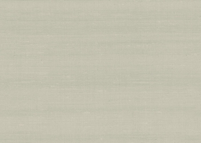 paleo-latus-50520-p