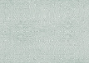 paleo-strata-50570-p