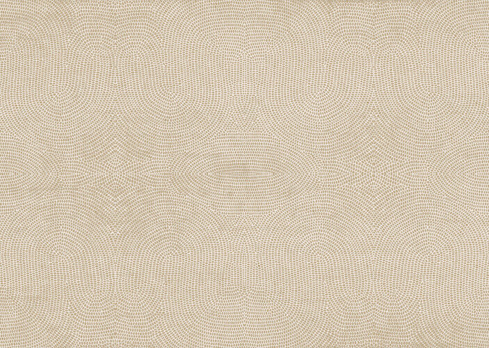 paleo-strata-50571-p