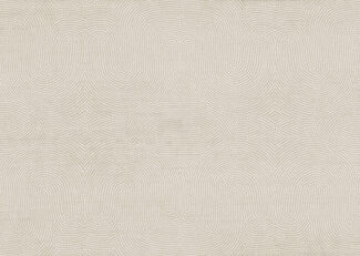 paleo-strata-50573-p