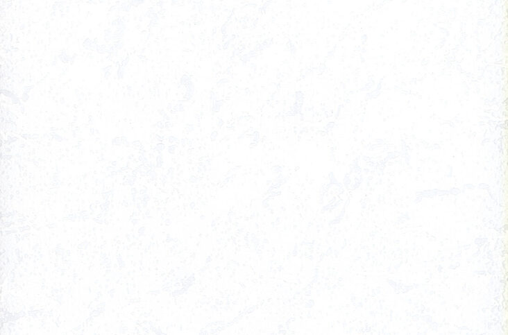 patent-9711-9811-p