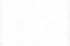patent-9711-9811-p