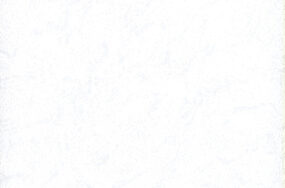 patent-9711-9811-p