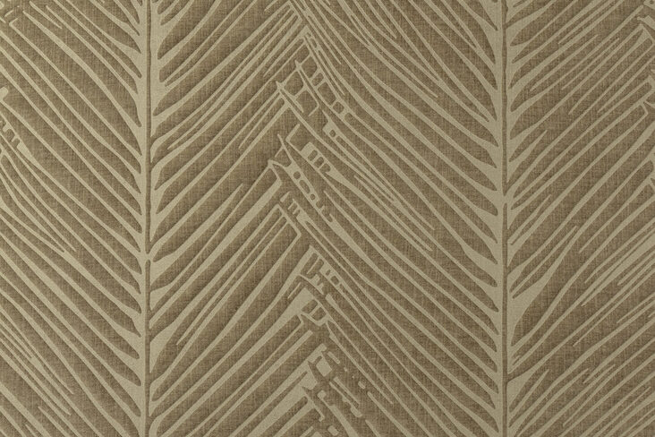 yala-palma-43034-packshot